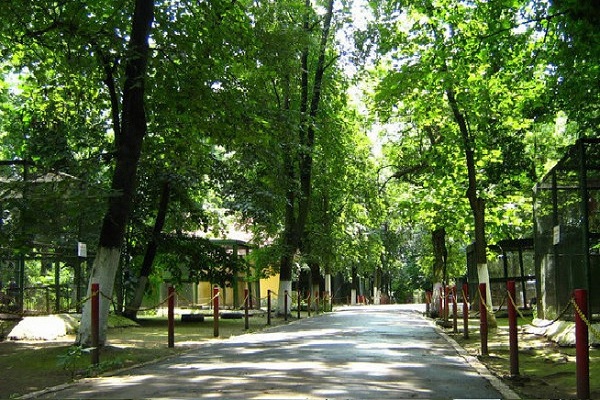 Gradina ZOO, Oradea